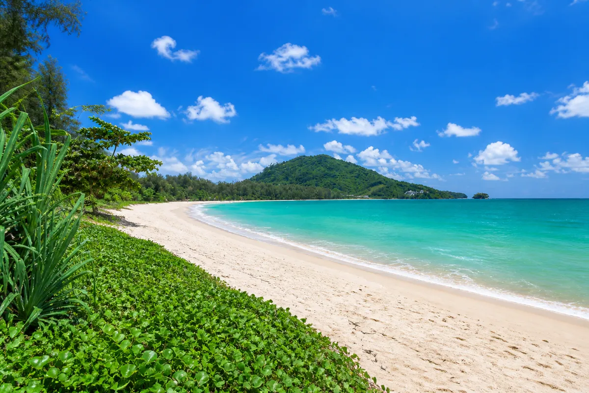 Nai Yang Beach in Phuket — pine trees along the shore and calm sea